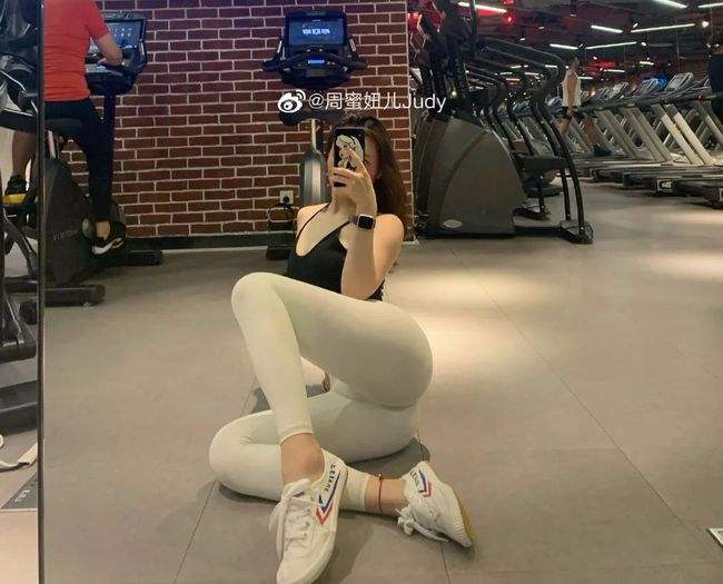 口袋宠物手机版下载