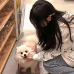 小小三国志h5游戏下载
